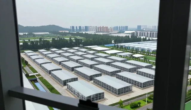 学校医院场景下技术培训的性能优化与适用条件分析